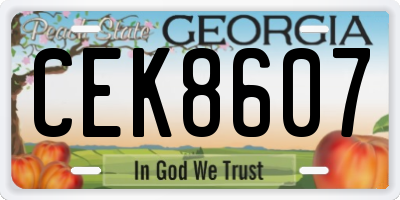 GA license plate CEK8607