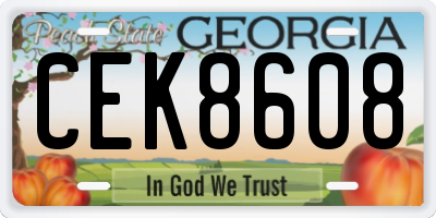 GA license plate CEK8608