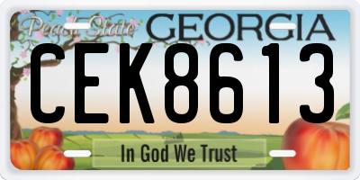 GA license plate CEK8613