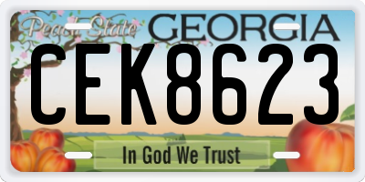 GA license plate CEK8623