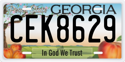 GA license plate CEK8629