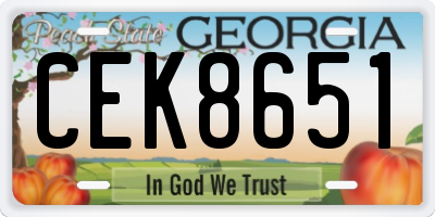 GA license plate CEK8651