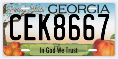 GA license plate CEK8667