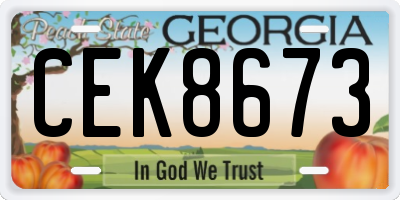 GA license plate CEK8673