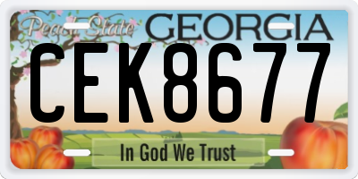 GA license plate CEK8677
