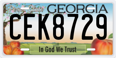 GA license plate CEK8729
