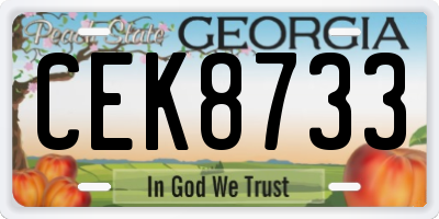 GA license plate CEK8733