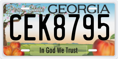 GA license plate CEK8795