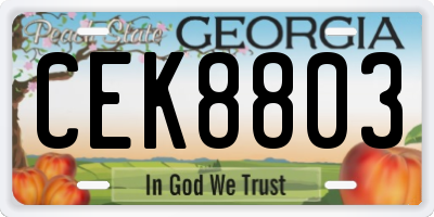 GA license plate CEK8803
