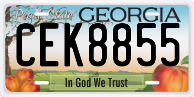 GA license plate CEK8855