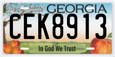 GA license plate CEK8913