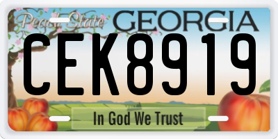 GA license plate CEK8919