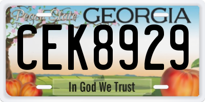 GA license plate CEK8929