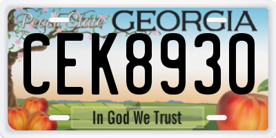 GA license plate CEK8930