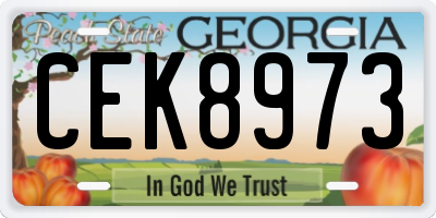 GA license plate CEK8973