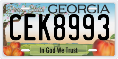 GA license plate CEK8993