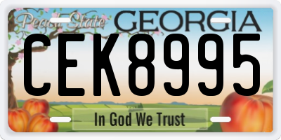GA license plate CEK8995