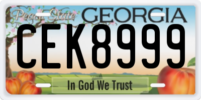 GA license plate CEK8999