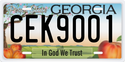 GA license plate CEK9001