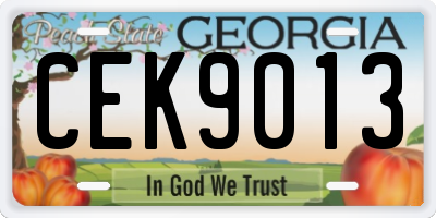 GA license plate CEK9013