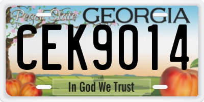GA license plate CEK9014