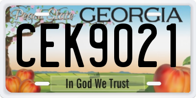 GA license plate CEK9021