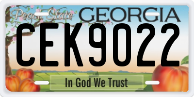 GA license plate CEK9022