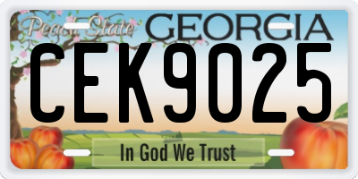 GA license plate CEK9025