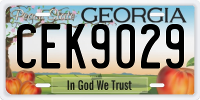 GA license plate CEK9029