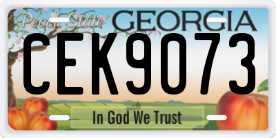 GA license plate CEK9073