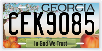 GA license plate CEK9085