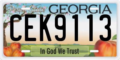 GA license plate CEK9113