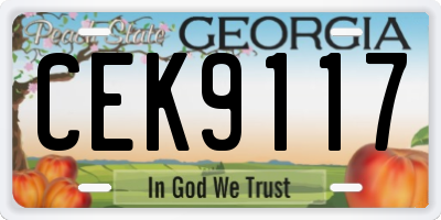 GA license plate CEK9117
