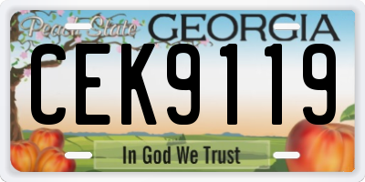 GA license plate CEK9119