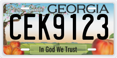 GA license plate CEK9123