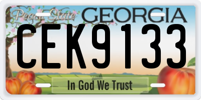 GA license plate CEK9133