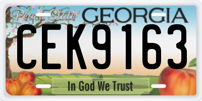 GA license plate CEK9163