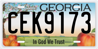 GA license plate CEK9173