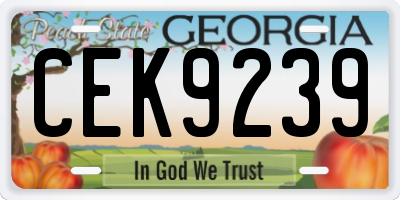 GA license plate CEK9239