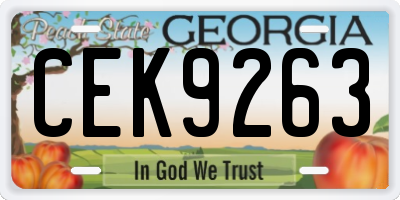 GA license plate CEK9263