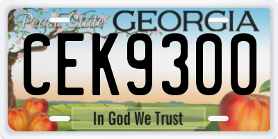 GA license plate CEK9300
