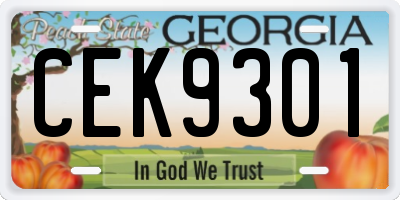 GA license plate CEK9301