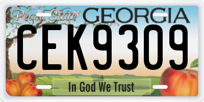 GA license plate CEK9309
