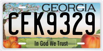 GA license plate CEK9329