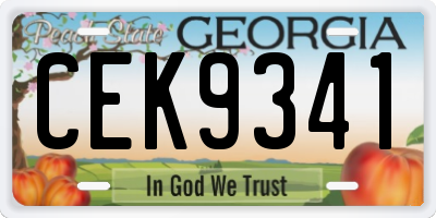 GA license plate CEK9341