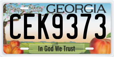 GA license plate CEK9373