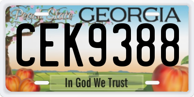 GA license plate CEK9388
