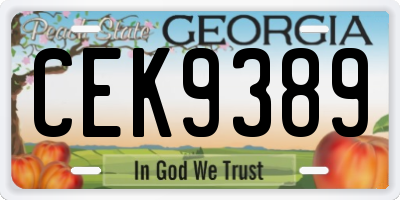 GA license plate CEK9389