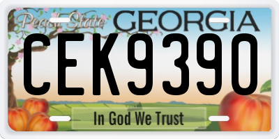 GA license plate CEK9390