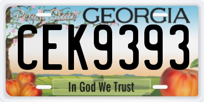 GA license plate CEK9393